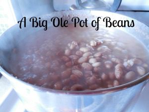 Pot of Beans-600