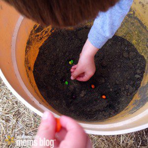 Planting a Rainbow: put skittles in the dirt and cover.