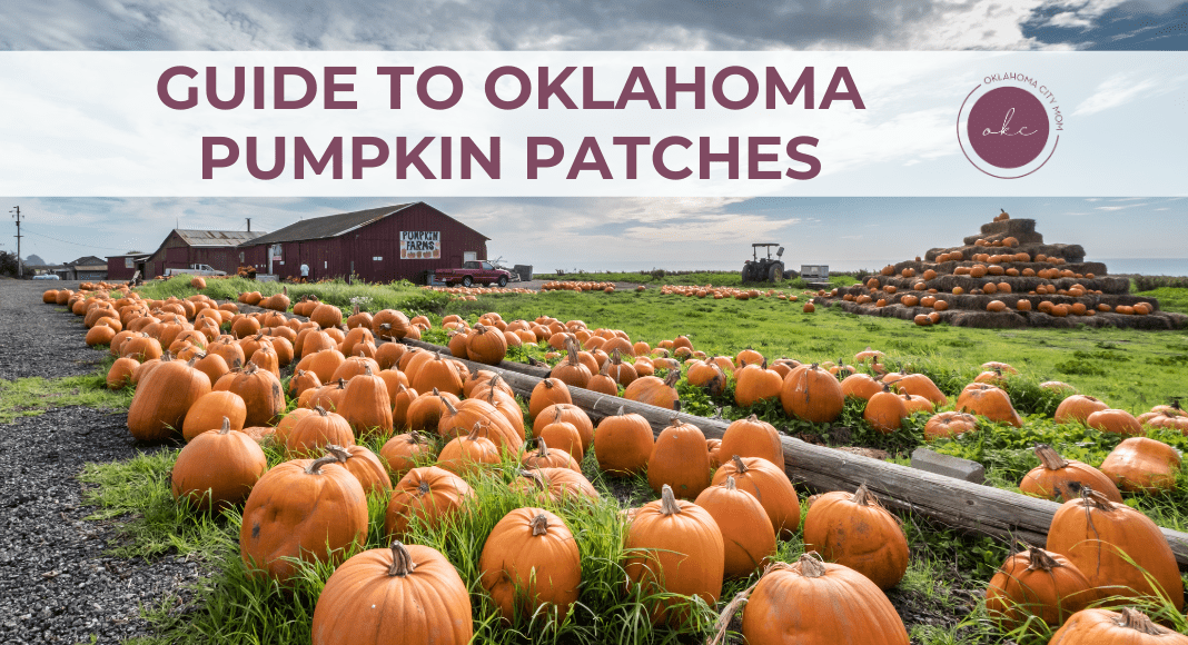 Best Pumpkin Patches Oklahoma
