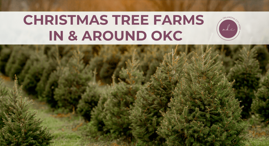 Christmas Tree Farms OKC