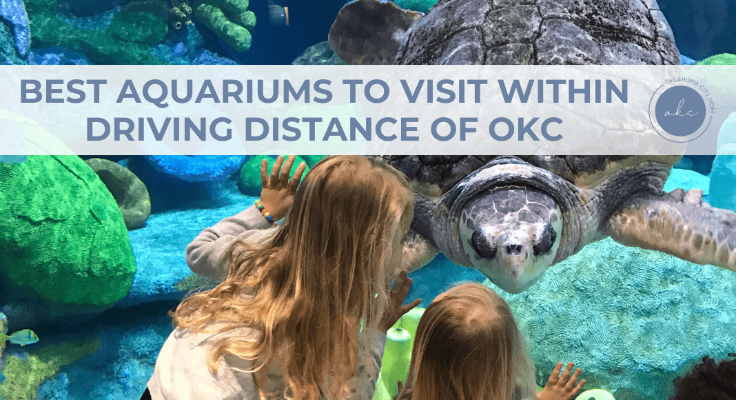 Best Aquariums Near OKC