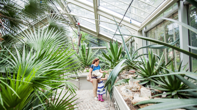 10 Things to Do in OKC Before 10 AM