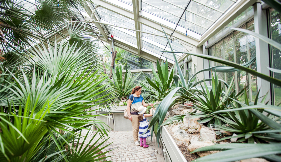 10 Things to Do in OKC Before 10 AM